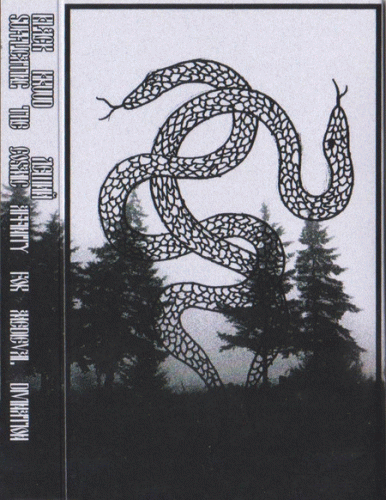 Black Kruud : Supplicating the Cosmic Affinity for Medieval Divination